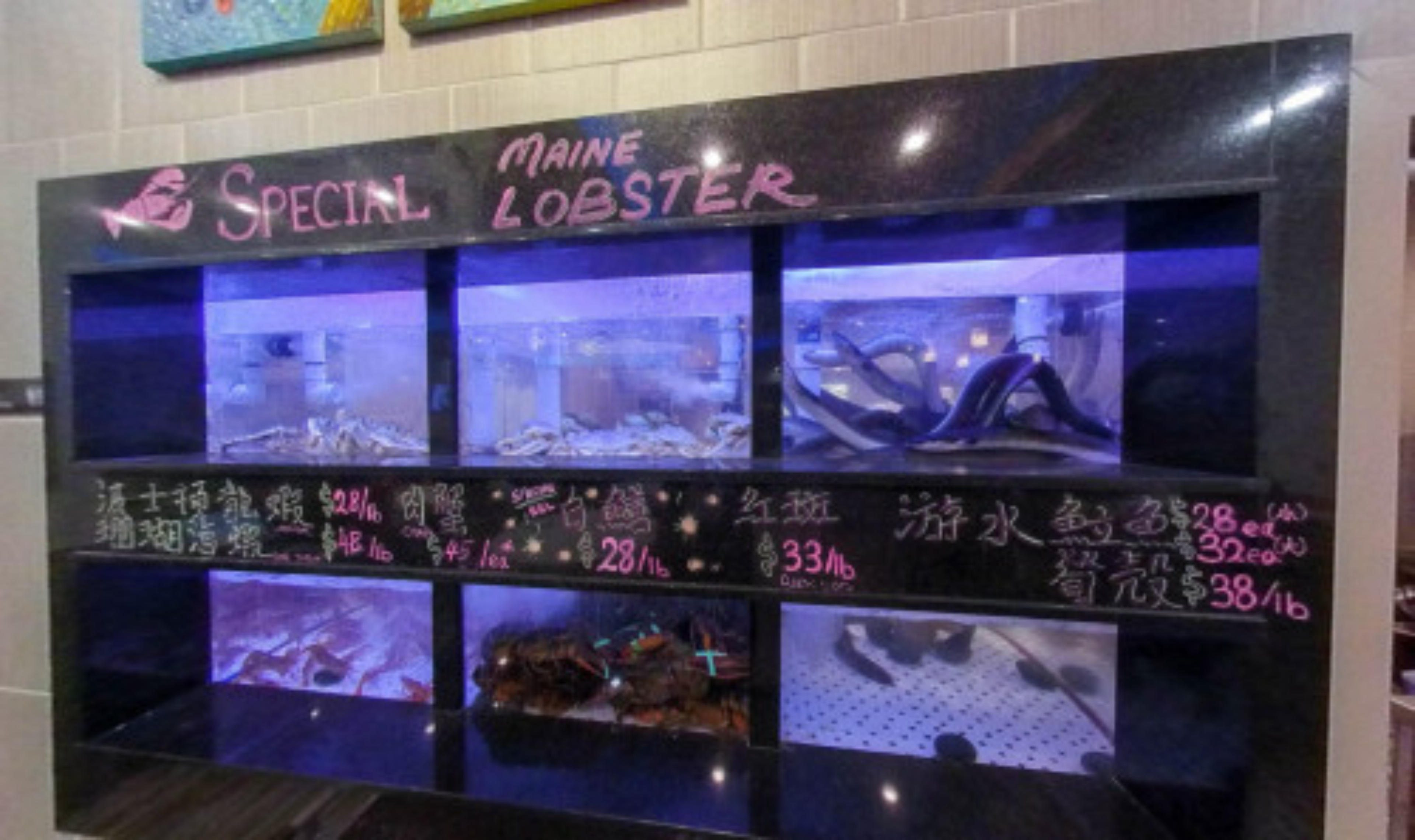 TASTE - Chinese Live Seafood, Las Vegas, USA virtual tour preview