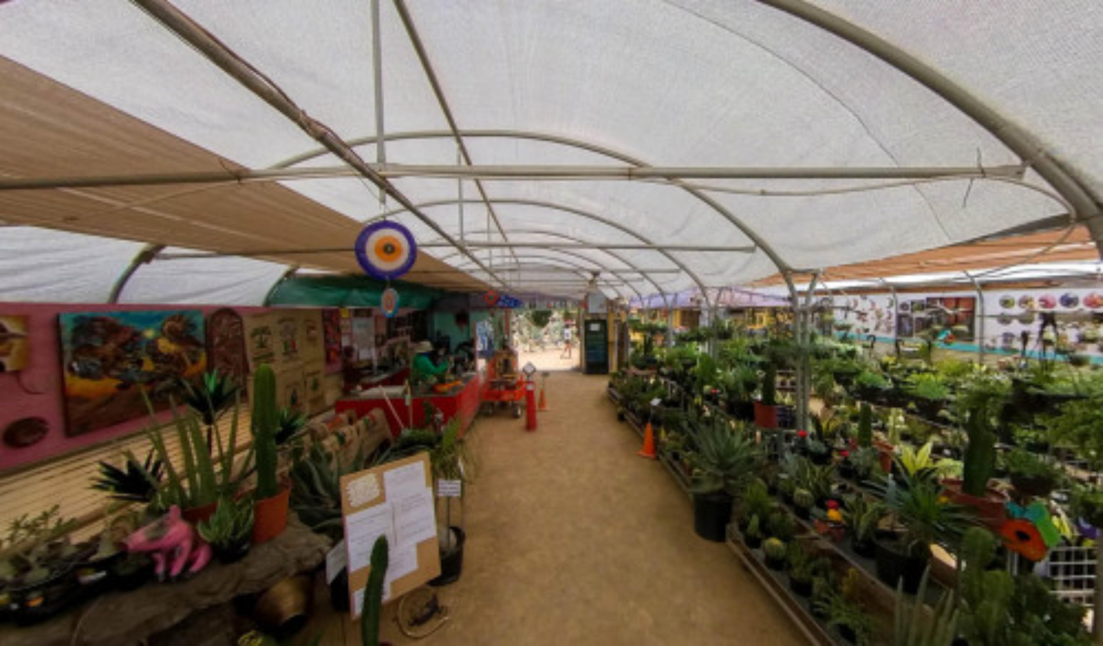 Cactus Joe's Blue Diamond Nursery, Blue Diamond, Nevada, USA virtual tour preview