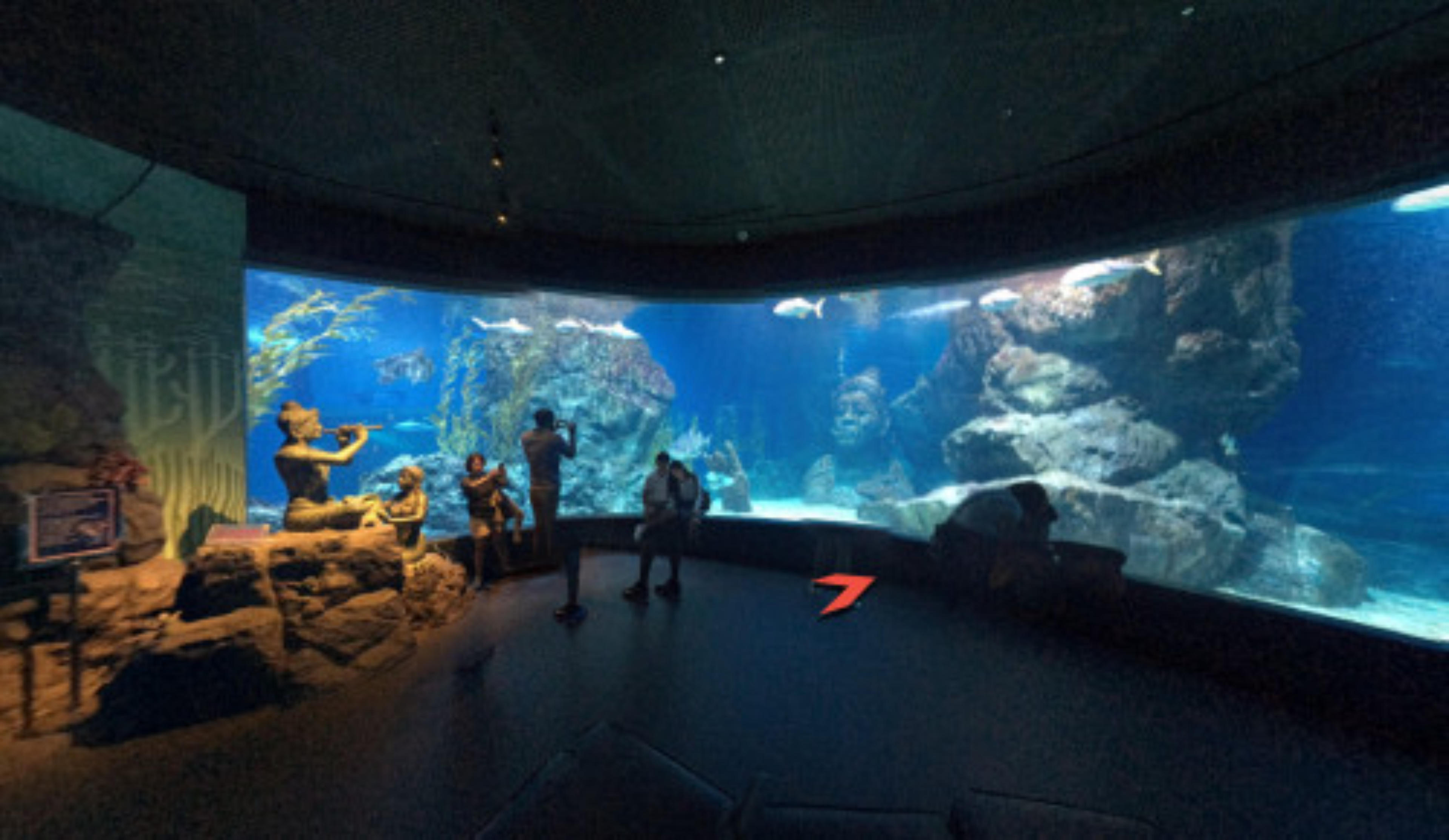 SEA LIFE Bangkok Ocean World virtual tour preview