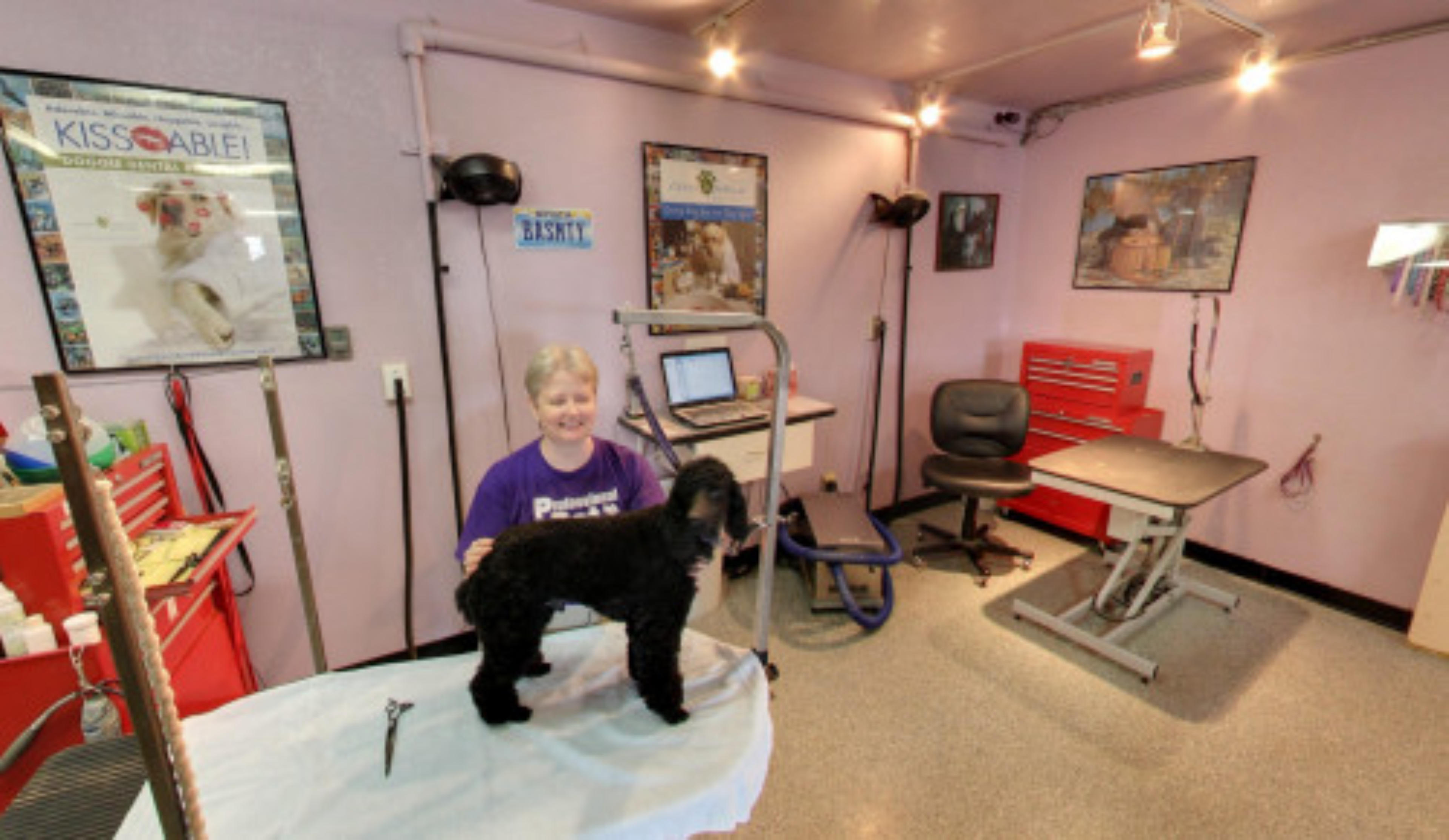 Professional Pet Room & Groom, Boulder City, USA virtual tour preview