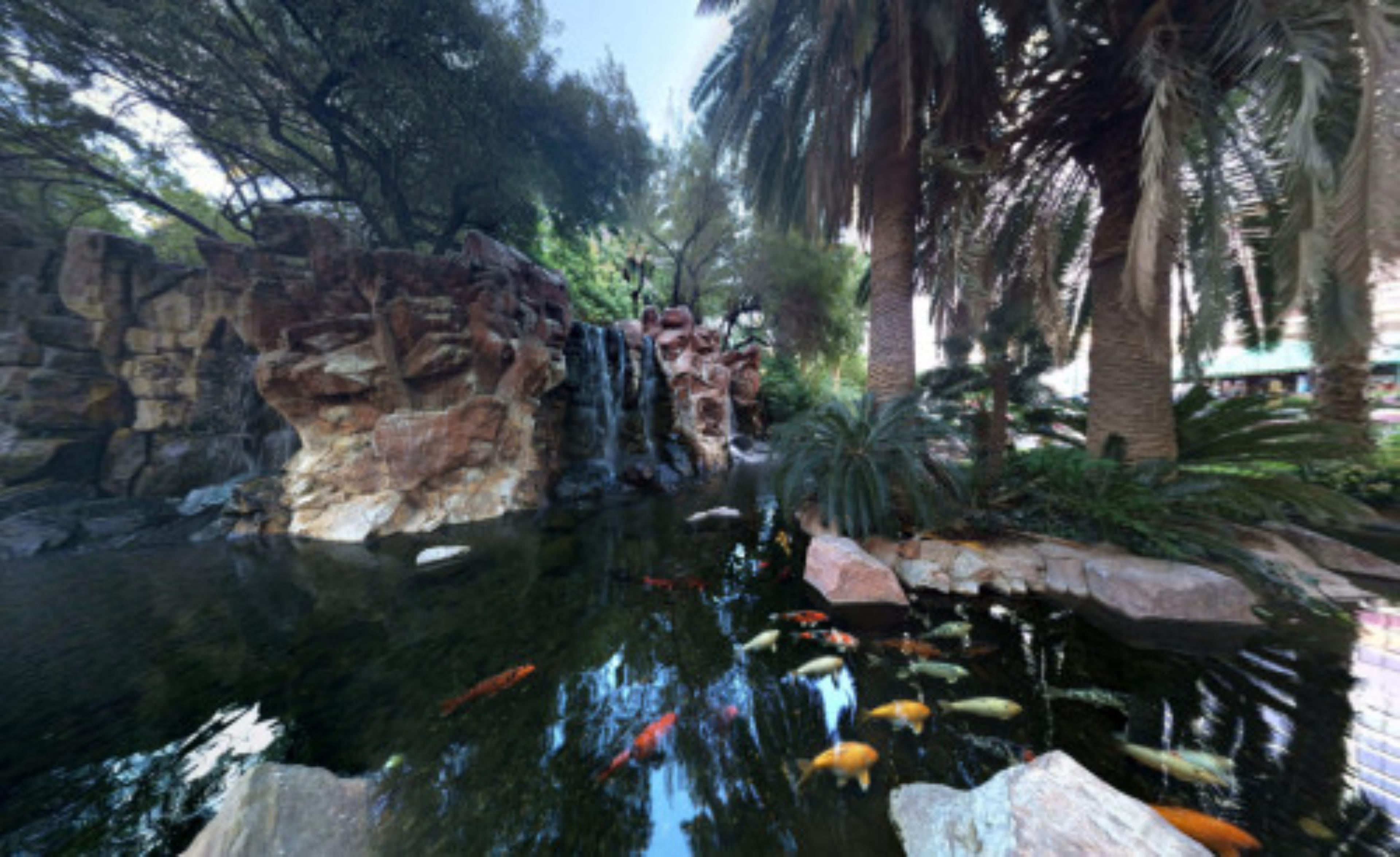 Flamingo Wildlife Habitat, Las Vegas, USA virtual tour preview